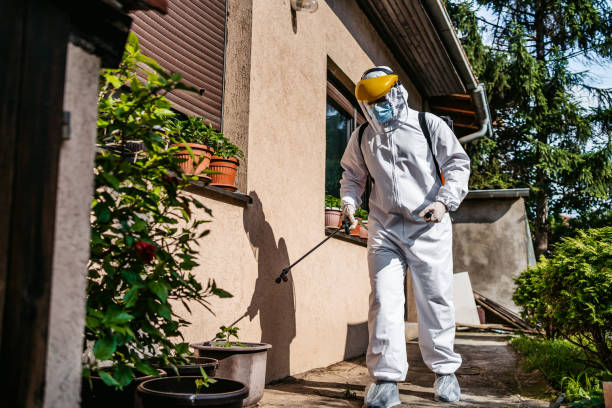 Best Rodent Control Near Me  in California, MO