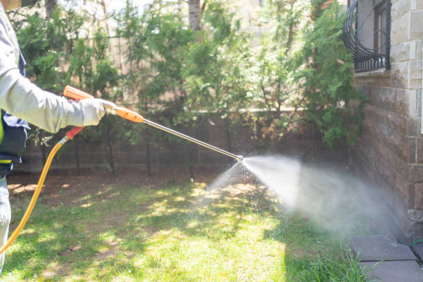 Best Pest Control Near Me  in California, MO