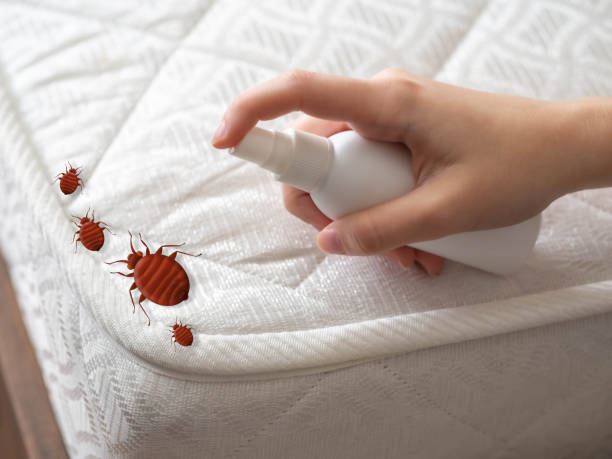 Best Pest Inspection Near Me  in California, MO